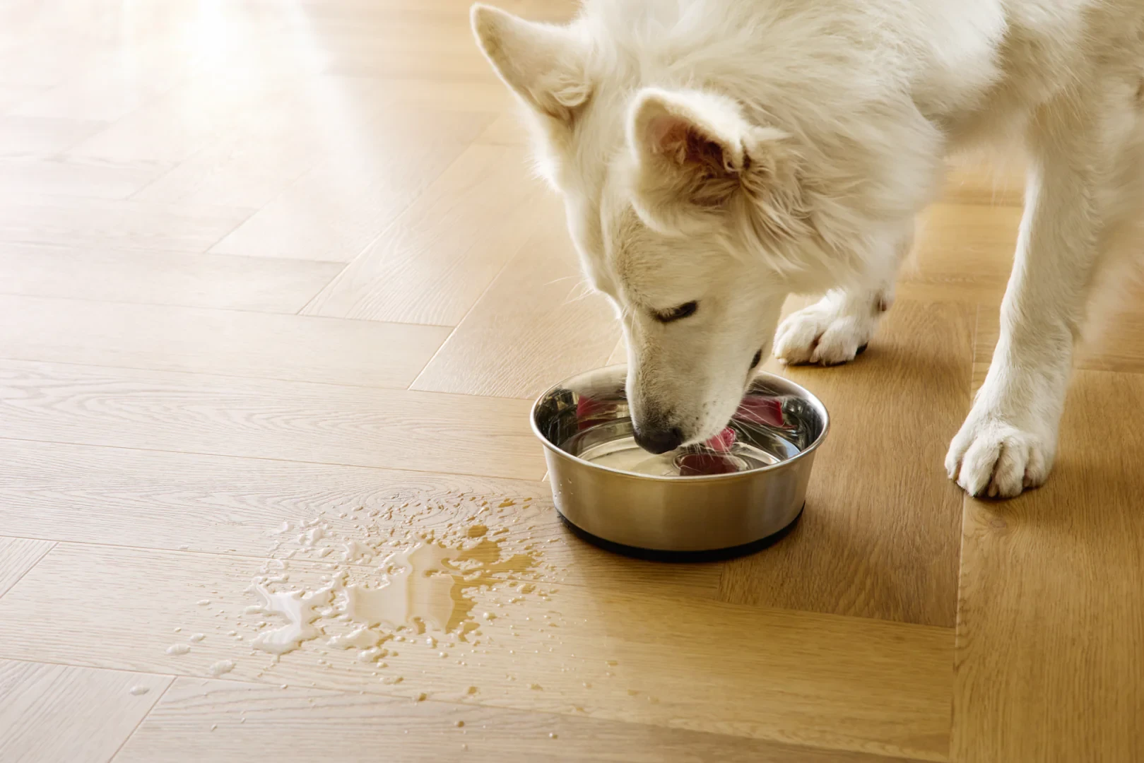 Кварцвиниловая плитка Arbiton Amaron Herringbone EIR - Дуб Менор - 5mm/0.55mm