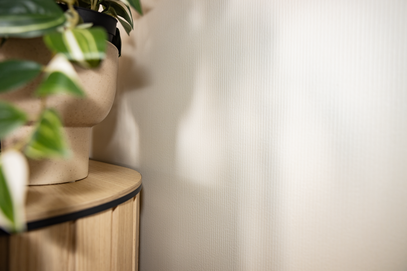 Стеновые панели MODEE Mineral Slabs – Mono Ivory